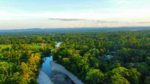 an aerial view of a river in a forest at Suchipakari Amazon Eco -Lodge & Jungle Reserve in Puerto Misahuallí