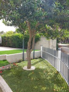 a tree in a yard next to a fence at Vila Green Relax in Vlorë