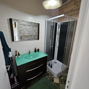 a bathroom with a sink and a shower with a sink at Maison ville haute Bar le Duc in Bar-le-Duc