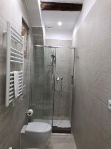 ein Bad mit einem WC und einer Glasdusche in der Unterkunft Il Rifugio del Pellegrino in Vetralla