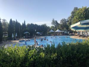 a group of people in a swimming pool at Campsitechalet in Viareggio near sea incl airco in Viareggio