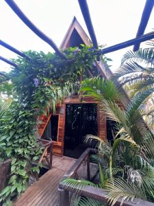 ein Haus mit Pflanzen davor in der Unterkunft Villa Éden in Alter do Chao