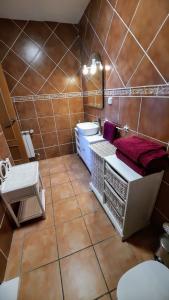 La salle de bains est pourvue d'un lavabo et de toilettes. dans l'établissement BAHIA PALACE 96, à Miami Platja