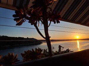 a view of a sunset from a table with flowers at Apartman More in Novigrad Dalmatia