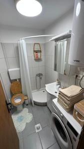 uma casa de banho com um WC, um chuveiro e um lavatório. em Mila Vila, Fruška Gora em Irig