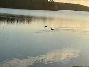 Gallery image of Annan Tupa in Lappeenranta