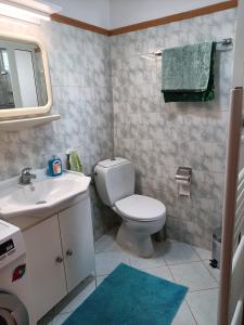 y baño con aseo, lavabo y espejo. en Stef Panorama House, en Loutraki