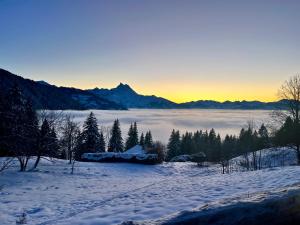 格里翁的住宿－THE ALPINE STUDIO on the ski slopes - by the lake - Alpe des Chaux - Gryon，享有覆盖着树木和山脉的雪地的景致。
