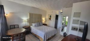 Schlafzimmer mit einem Bett, einem Tisch und einem Schreibtisch in der Unterkunft Green Island Inn in Fort Lauderdale