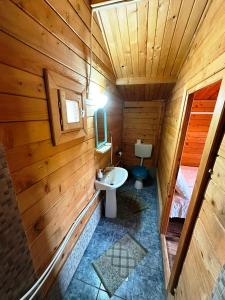 a small bathroom with a sink and a toilet at Bungalow- casute in Orşova