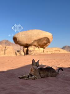 a cat laying on the sand in the desert at aالكـريـم AL KARIM LUXURY CAMP in Wadi Rum