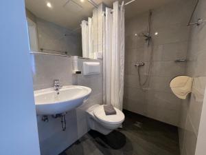 a bathroom with a sink and a toilet and a shower at Hotel Loewen in Tübingen +10 photos