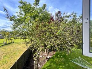 Ein Baum in einem Garten neben einem Zaun in der Unterkunft High Trees Guest House Gatwick in Hookwood
