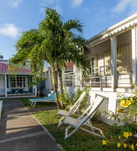 a pair of lounge chairs in front of a house with a palm tree at Talk of the Town Inn & Suites - St Eustatius in Oranjestad