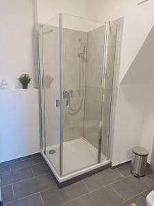 une douche avec une porte vitrée dans une salle de bain dans l'établissement FeWo für 7 Personen/Netflix/Parking/WLAN/stilvoll, à Pöttmes