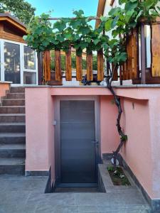 różowy budynek z drzwiami przed nim w obiekcie Hisa idej w mieście Sežana
