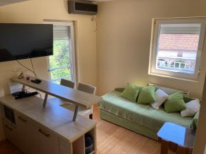 TV a/nebo společenská místnost v ubytování Apartment AN