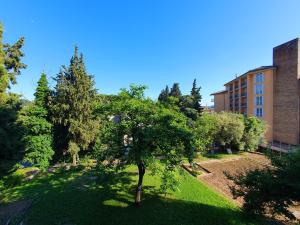 a tree in a yard in front of a building at Apartment Villa Elsa in Portorož