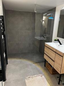 ein Bad mit einer Dusche, einem Waschbecken und einem Spiegel in der Unterkunft L’Usine in Concarneau