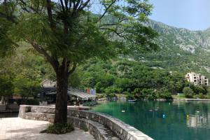 a tree next to a body of water with a mountain at Apartment BayView in Donji Morinj
