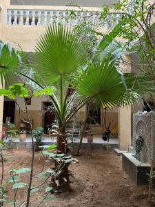 Zahrada ubytování Riad Tazoulte + 18 fotografií