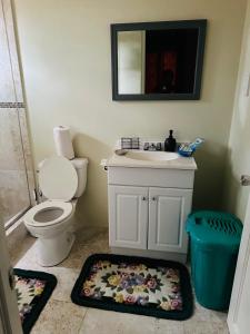 a bathroom with a toilet and a sink and a mirror at Fraser's Suites in Kingstown