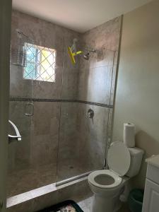 ein Bad mit einer Dusche und einem WC in der Unterkunft Fraser's Suites in Kingstown