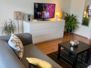Televízia a/alebo spoločenská miestnosť v ubytovaní NordiCasa