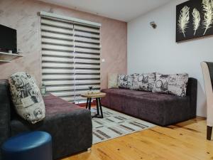 a living room with a couch and a table at Simic Apartmani Tara in Kaludjerske Bare