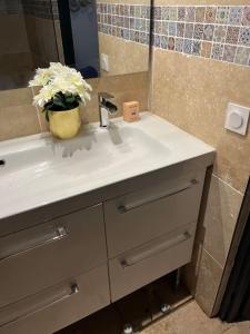 a bathroom sink with a vase of flowers on it at Villa Johana in Aucamville