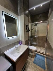 uma casa de banho com um lavatório, um WC e um chuveiro em Apartment Merabi em Batumi