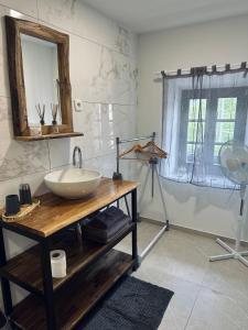 uma casa de banho com um lavatório e um espelho sobre uma mesa em Slovenian House Vida em Bled
