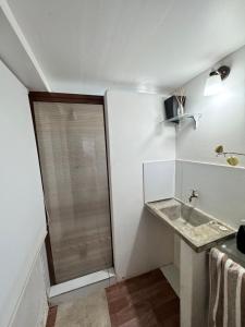 a bathroom with a shower and a sink at Acogedor independiente-Casa JH A in Santa Cruz de la Sierra