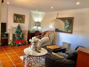 a living room with a christmas tree and a couch at Grace Villa in Aldeia de Juso