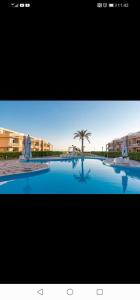 a view of a swimming pool with a palm tree and buildings at دلتا مارينا in Al Ḩammād +14 photos