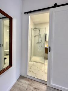a bathroom with a shower and a mirror at Stay in Artist’s Gallery in Antwerp
