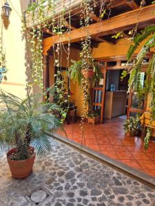 a room with a bunch of potted plants in a building at Hotel Casa Sofia in Antigua Guatemala