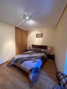 una camera con letto e ventilatore a soffitto di Casa rural Herminia a Ourense