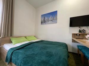 a bedroom with a bed and a flat screen tv at Apartments Konaci Kopaonik in Kopaonik