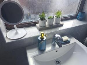 a bathroom sink with a mirror and potted plants at Nina's Cozy Lodge in Wigan