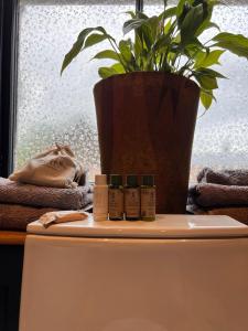 a shelf with four bottles of essential oils on a window sill at Llanerchydol Hall Suites in Welshpool
