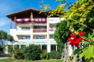 Zahrada ubytování Hotel St. Anton