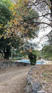Ein Baum mit Herbstlaub neben einer Steinmauer in der Unterkunft Casa en Ascochinga privado. Sierras de Córdoba in Ascochinga