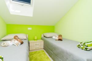 two twin beds in a room with green walls at Apartments with parking space Banici, Dubrovnik - 23176 in Slano