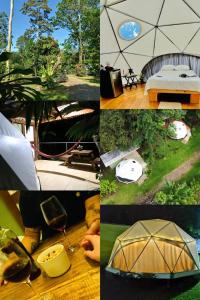 kolaż czterech zdjęć namiotu w obiekcie Glamping Naioth w mieście Guápiles