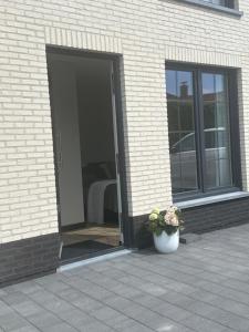 eine offene Tür eines Gebäudes mit einer Topfpflanze in der Unterkunft Voogdtstraat 7 in Sluis + 1 Foto