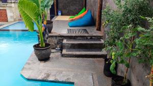 a swimming pool with stairs and plants next to a house at Menjangan View in Banyuwedang