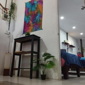 Fotografie z fotogalerie ubytování Starfish Aptmt no v destinaci Ostrov Holbox
