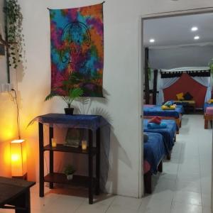 Fotografie z fotogalerie ubytování Starfish Aptmt no v destinaci Ostrov Holbox