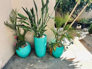 four blue potted plants sitting next to a wall at CASA HOTEL PIRACICABA in Piracicaba